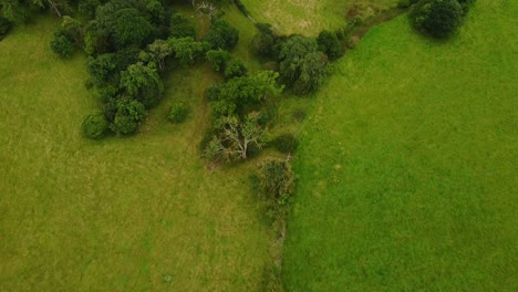 Aerial-drone-shot-looking-down-at-green-trees-and-fields-in-UK