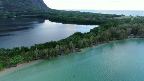 在海和傳統的夏威夷魚池之間的自然牆上飛翔