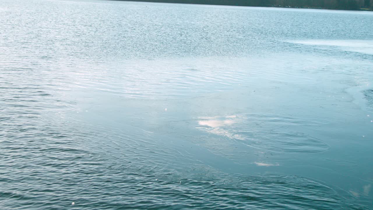 화창한 날에 파도를 움직이는 아름다운 깊고 푸른 바다 - 와이드 샷