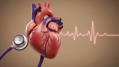 a detailed visualization of the human heart with stethoscope and cardiac rhythm displayed, highlighting the importance of cardiovascular health and monitoring