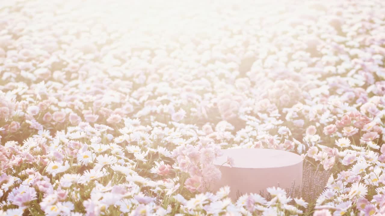 ฉากวิดีโอสีพาสเทลชวนฝันที่มีมุมต่ำของดอกไม้สีชมพูและรูปทรงนามธรรม