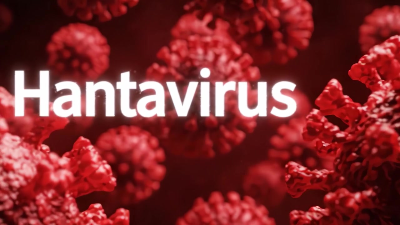 Visual Representation of Hantavirus: Detailed Close-Up of Viral Structures Highlighting Their Unique Morphology and Potential Health Implications