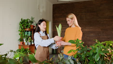 woman discussing plants in a plant shop