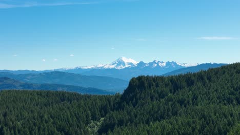 aerial shot of mount baker with a dense forest surrounding it