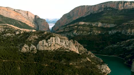 Natural-vegetation-cover-on-the-mountain,-Catalonia-Spain,-Barcelona-,-blue-river-flow