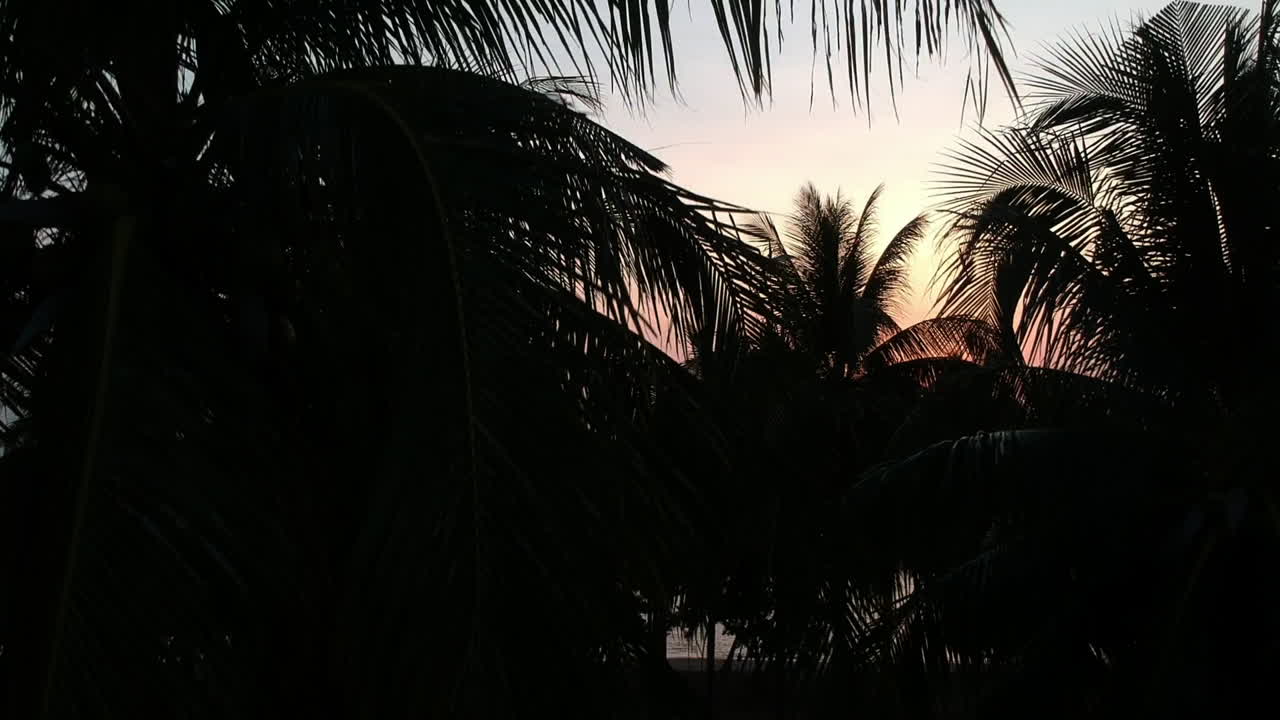 puesta de sol hora dorada en la playa colorida silueta roja y azul de palmeras en asia con drone