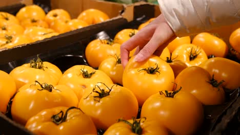 woman choosing yellow tomatoes from box in supermarket. fresh vegetables in farmers market. organic food