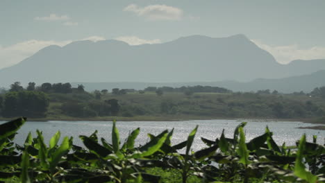 Palmeras-De-Plátano-Cinematográficas-Frente-Al-Lago-Y-La-Montaña