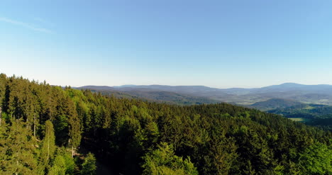 aerial view of forest 2