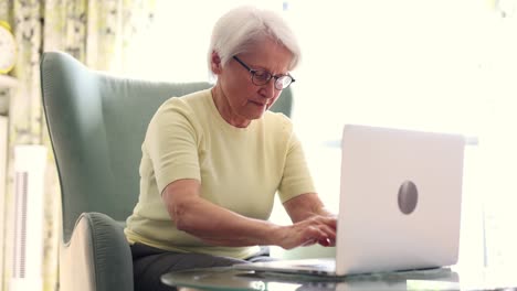 senior woman using laptop at home