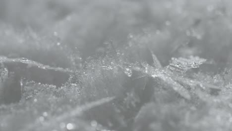 timelapse macro shot of melting ice