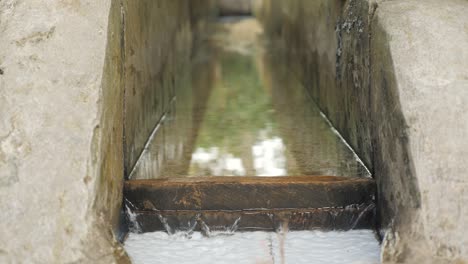 Aufnahme-Eines-Großen-Wasserablaufbehälters-Mit-Ausfließendem-Wasser-Zum-Reinigen-Von-Kaffeebohnen-Mit-Wasser-Auf-Der-Plantage-Factory-Sierra-Nevada-Kolumbien-Zeitlupe