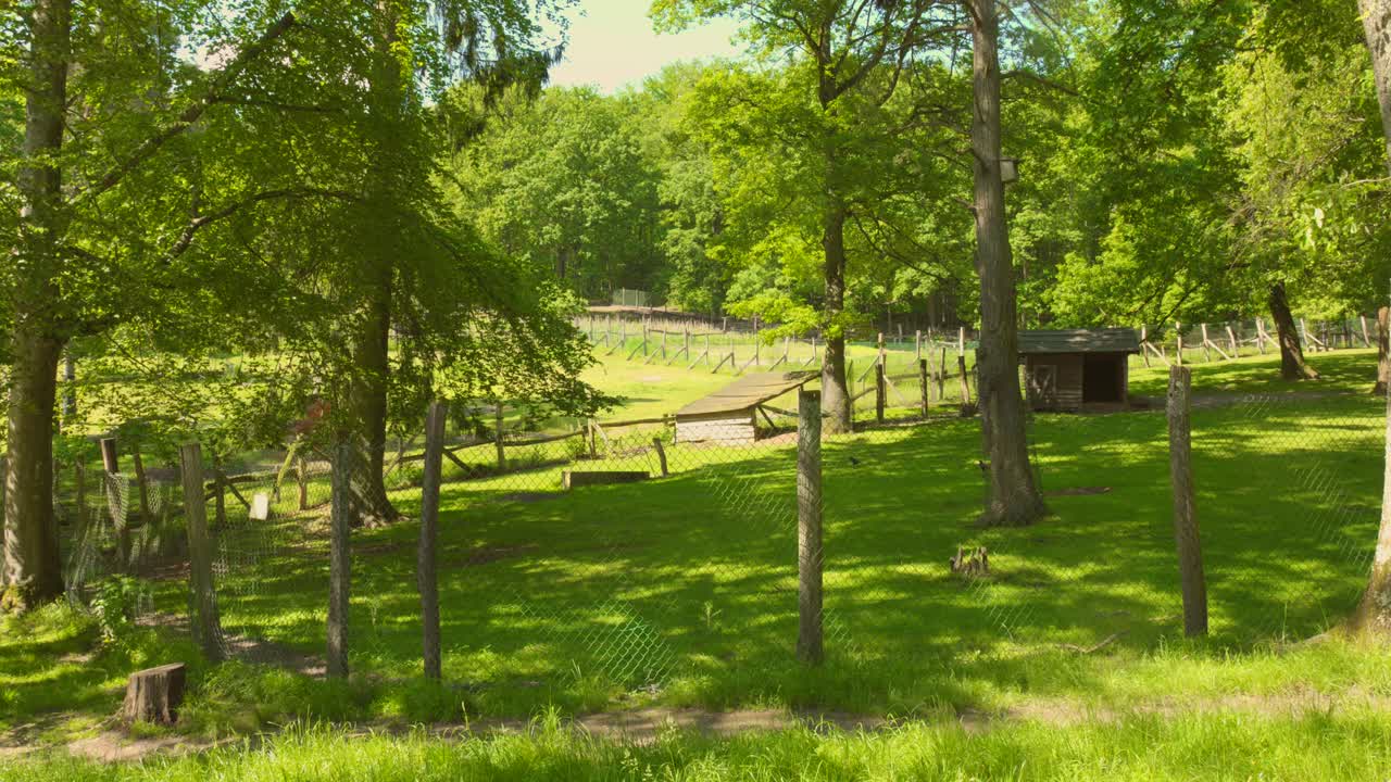 Wild Park With Fence And And Green Trees In Summer In Sarrebrucken, Germany. - wide shot