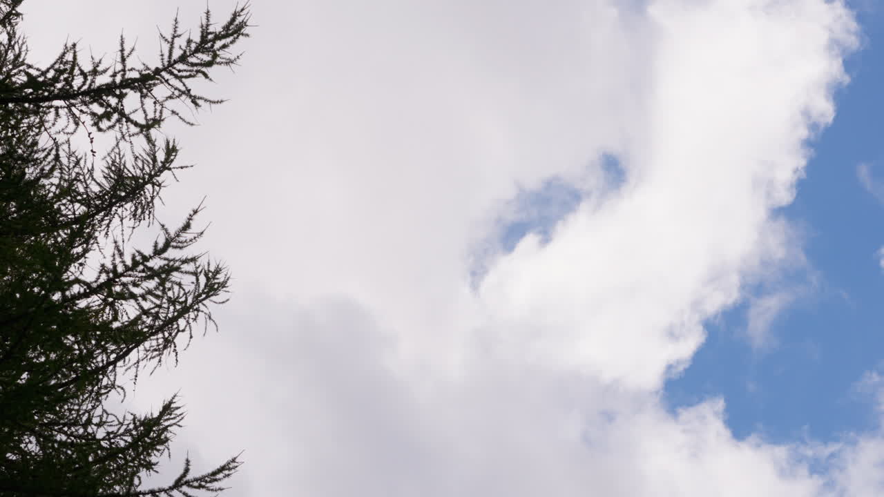 Clouds drift over Swiss trees, evoking peace and tranquility