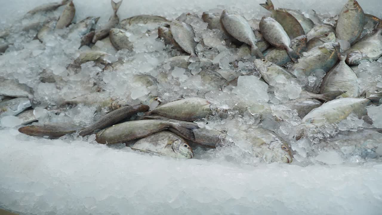 시장 에서 얼음 에 담긴 신선 한 물고기