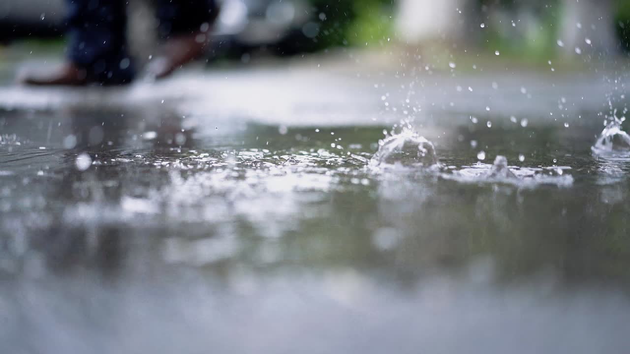 비가 내리고 있습니다. 물방울이 웅이에 떨어집니다.