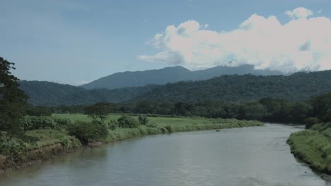 calm slow motion shot in nature with river flowing water and green trees