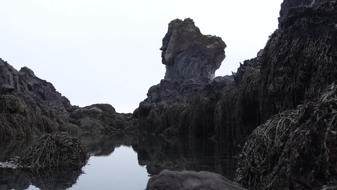 Paesaggio costiero roccioso con formazioni rocciose uniche e alghe