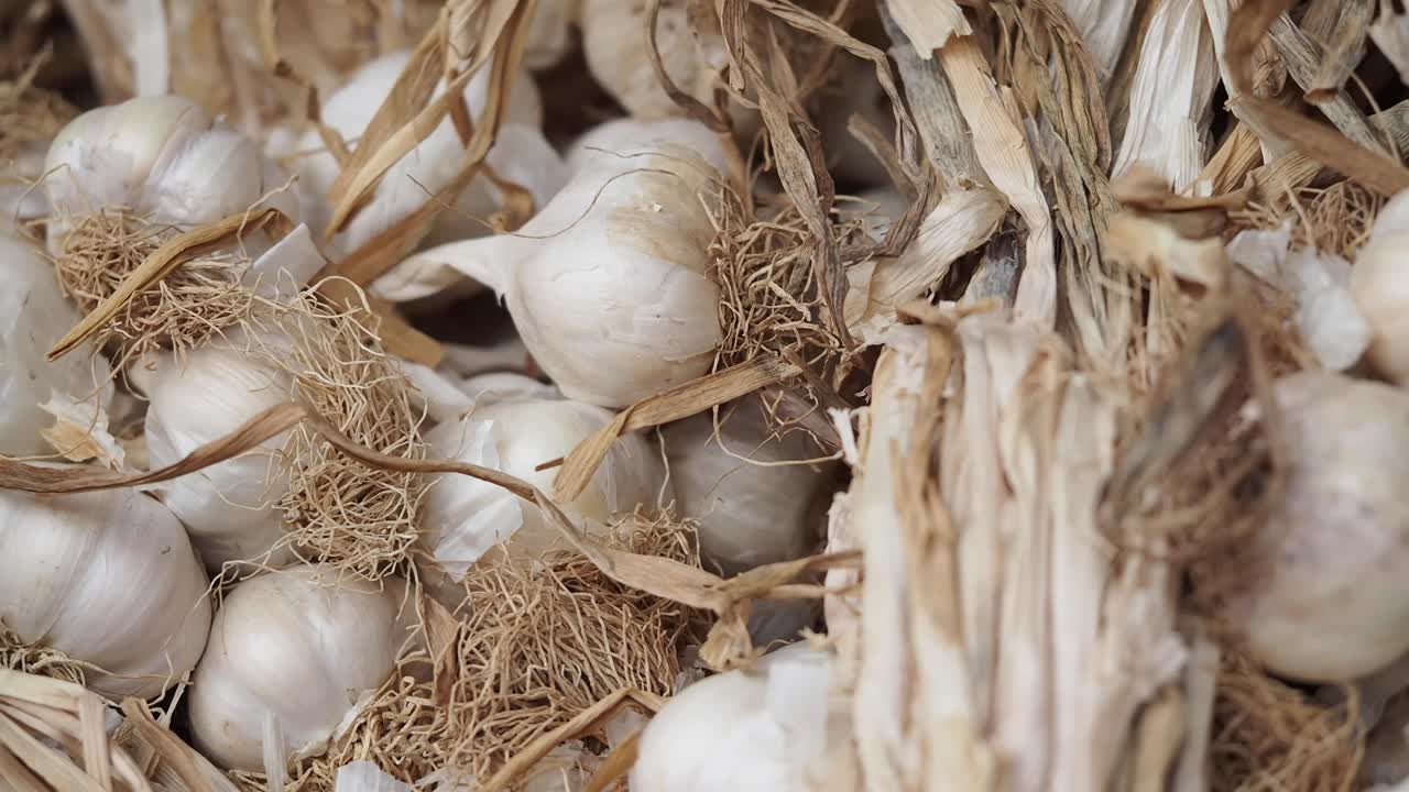 bulbi di aglio