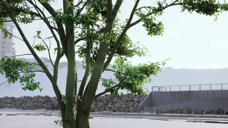 vibrant tree standing tall near a rocky shore in a tranquil landscape