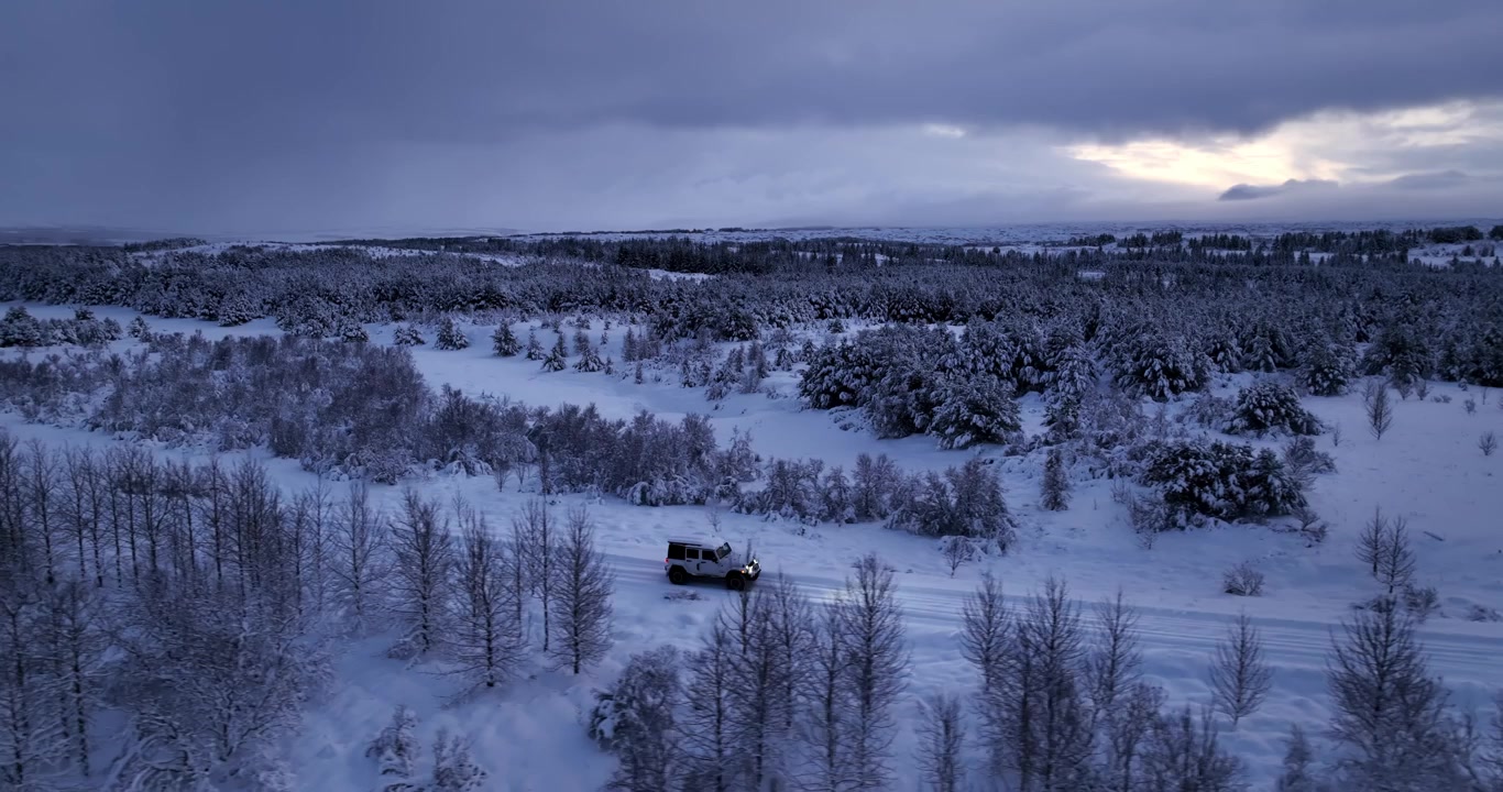 Vid droneutsikt av en liten 4x4 som beveger seg gjennom en snødekt bjørkelund under mørke skyer og blek skumring over en avsidesliggende frossen skog.
