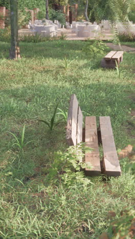 escena del parque con bancos y hierba