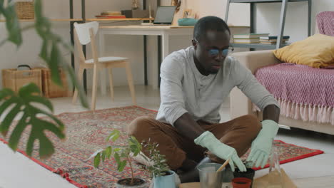 african american man repotting houseplant at home