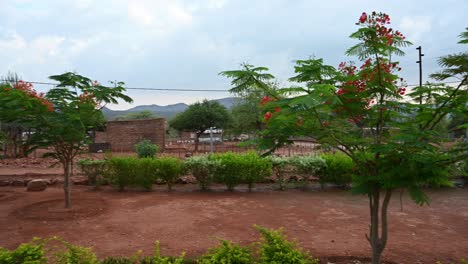 tribal makushu village landscaping in front of a home in south africa