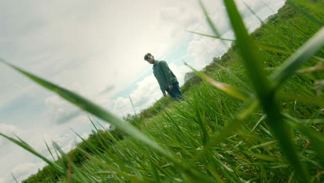 low dutch angle view of man walking through grass with dramatic foreground blades, cinematic natural texture