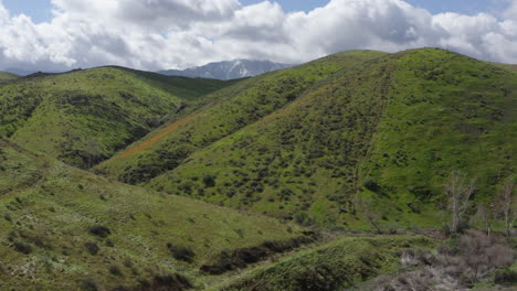 Drone-view-of-green-hills-on-a-sunny-day