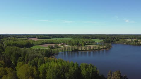 Aerial-flight-over-bright-green-trees-to-rural-deep-blue-northern-lake