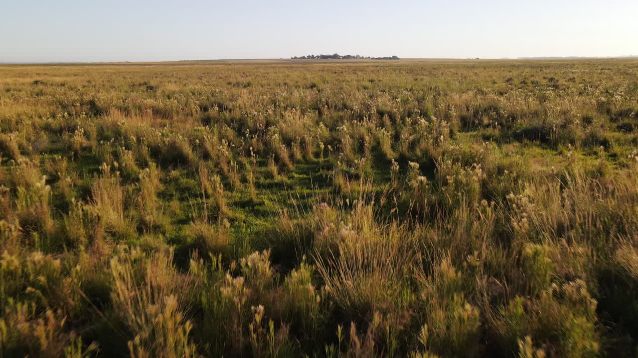vista aérea de un campo de cultivo