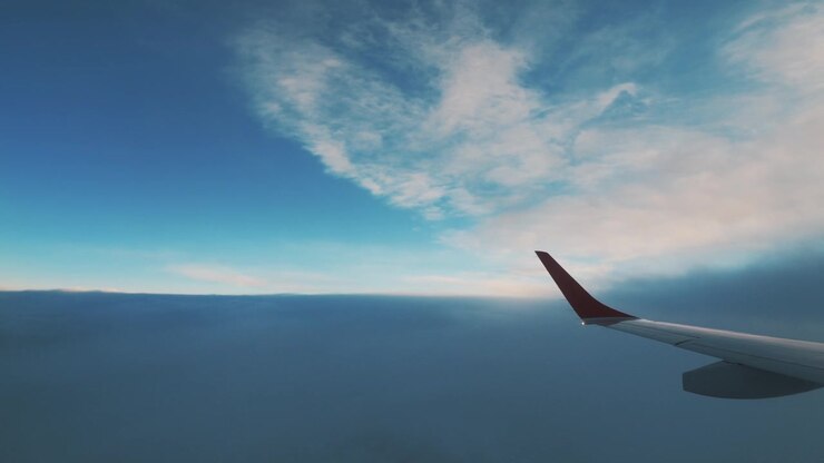 Flyvinge i luften