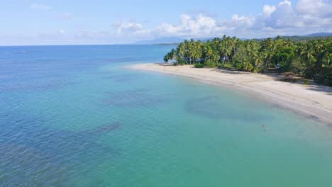 Vuelo-Aéreo-Sobre-El-Mar-Caribe-Cristalino-Y-La-Playa-De-Arena-Con-Palmeras-Tropicales-Durante-El-Día-Soleado---Las-Terrenas,-República-Dominicana