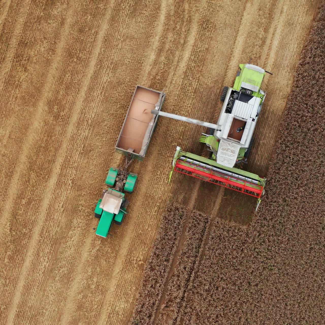 Harvester stopped at the line between cut and uncut parts of the field. Combine uploading grain into the tractor. Birds' eye view
