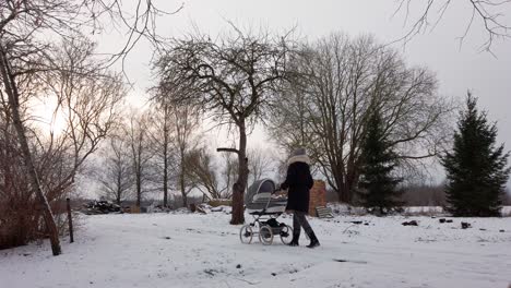 single mother walk on snowy cottage driveway with baby carriage near bare tree