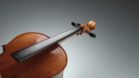 close-up of a violin