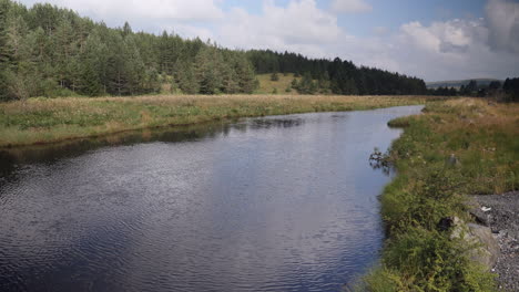 Ein-Langsames-Strömen-Einer-Flusslandschaft-Mit-Wald-Unter-Den-Weißen-Wolken