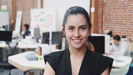 retrato de una mujer de negocios en una oficina moderna de plan abierto con un equipo de negocios trabajando en el fondo