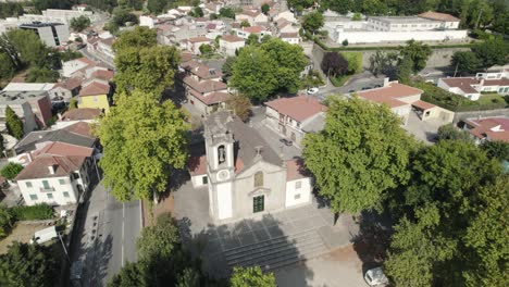 drone flight over tree lane reveals church of st