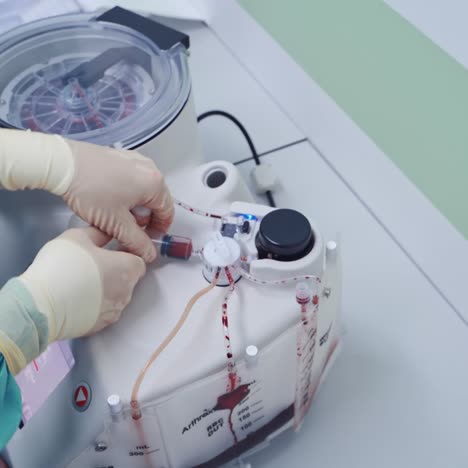 scientist works in modern biological lab