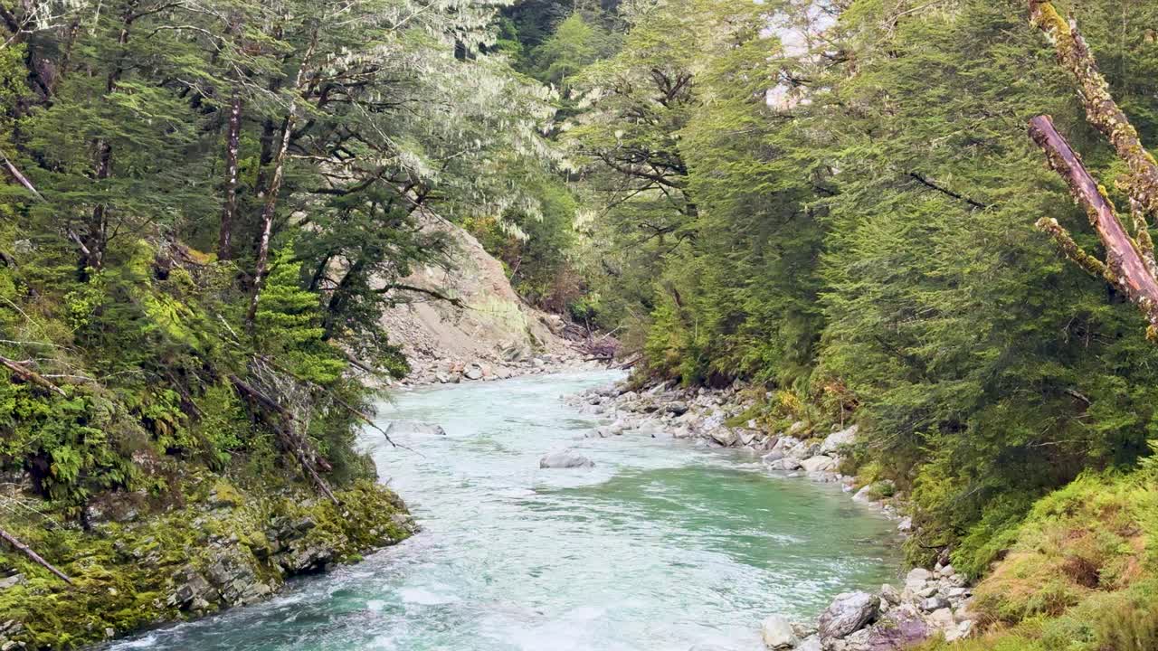 Aerial camera smoothly follows a turquoise river winding through lush forest, capturing dynamic rapids, rocky banks, and natural daylight in Glenorchy, New Zealand