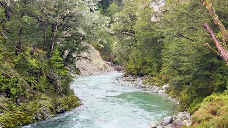 aerial camera smoothly follows a turquoise river winding through lush forest, capturing dynamic rapids, rocky banks, and natural daylight in glenorchy, new zealand