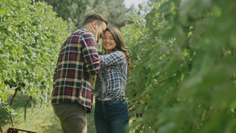 couple enjoying a grape harvest