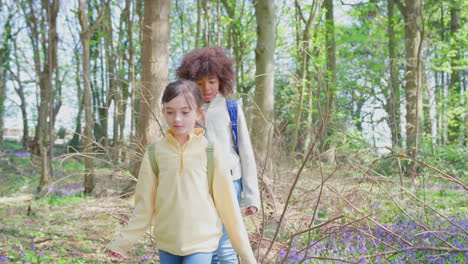 two children walking through bluebell woods in springtime balancing on log