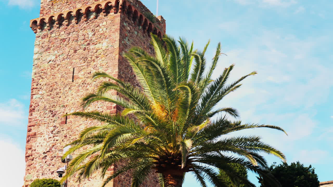 Low angle view of a palm tree in sunlight with the Chateau de la Napoule Castle and sky on the background