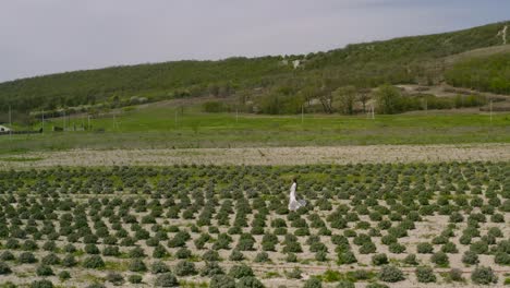 woman walking through a lavender field