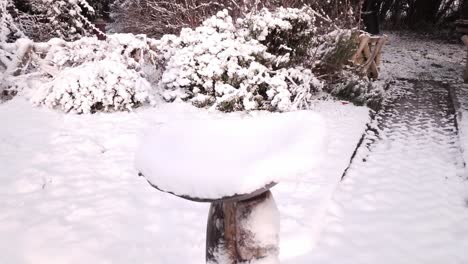 snow day in my local village