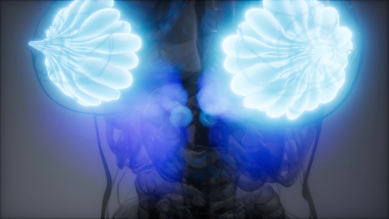 비만 여성의 유방선에 대한 의학적으로 정확한 그림