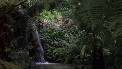 static view revealing a small waterfall gently falling into a pool below